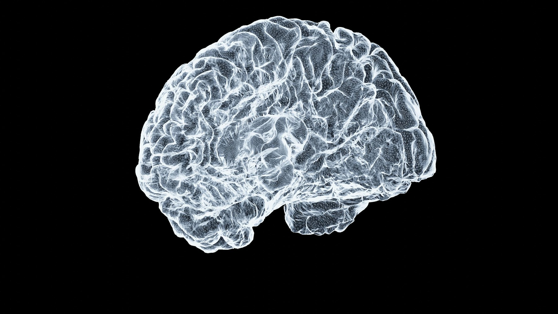 A medical rendering of the human brain on a black background